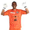 Player cutout