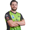 Player cutout