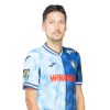 Player cutout