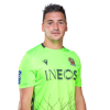 Player cutout