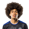 Player cutout