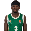 Player cutout