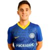 Player cutout