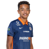 Player cutout