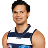 Player cutout