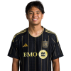 Player cutout