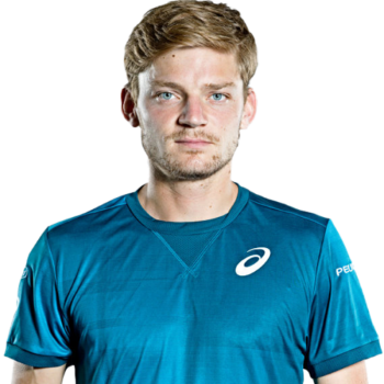 David Goffin cutout