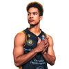 Player cutout