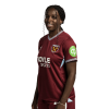 Player cutout