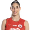 Player cutout