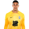 Player cutout