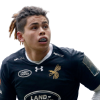 Player cutout