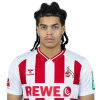 Player cutout