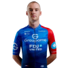 Player cutout