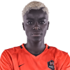 Player cutout