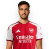 Mikel Merino