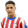 Player cutout