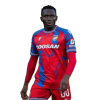 Player cutout