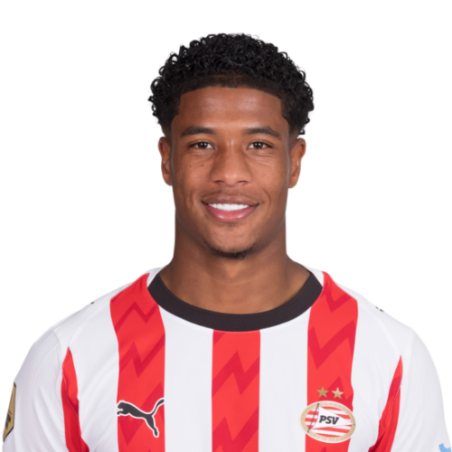 ريان فلامينغو