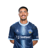 Player cutout