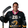 Player cutout