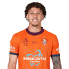 Player cutout