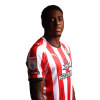 Player cutout