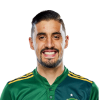 Player cutout