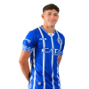 Player cutout