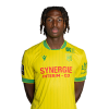 Player cutout