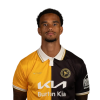 Player cutout