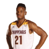 Player cutout