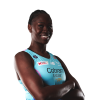 Player cutout