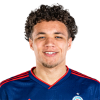 Player cutout