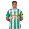 Player cutout