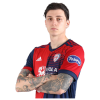 Player cutout