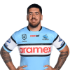 Player cutout