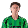 Player cutout