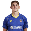 Player cutout