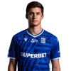 Player cutout