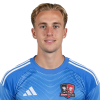 Player cutout