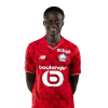 Player cutout