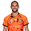 Player cutout