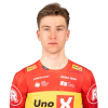 Player cutout