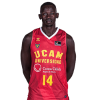 Player cutout
