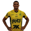 Player cutout