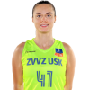 Player cutout