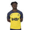 Player cutout