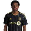 Player cutout