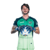 Player cutout